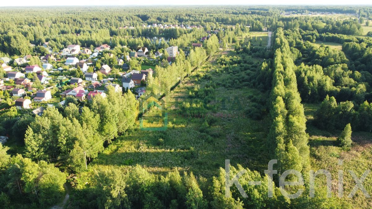 участок 293 сот