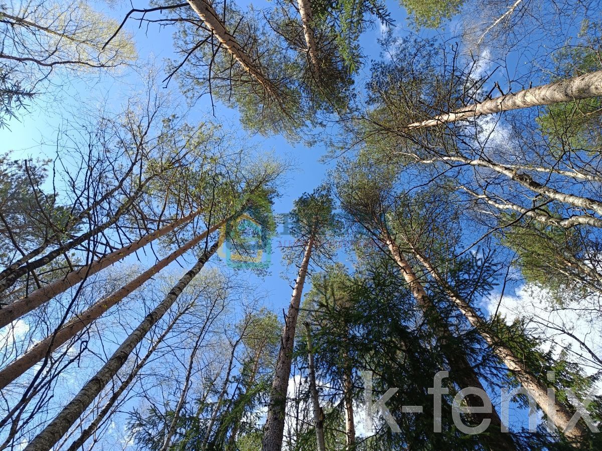 участок 9 сот