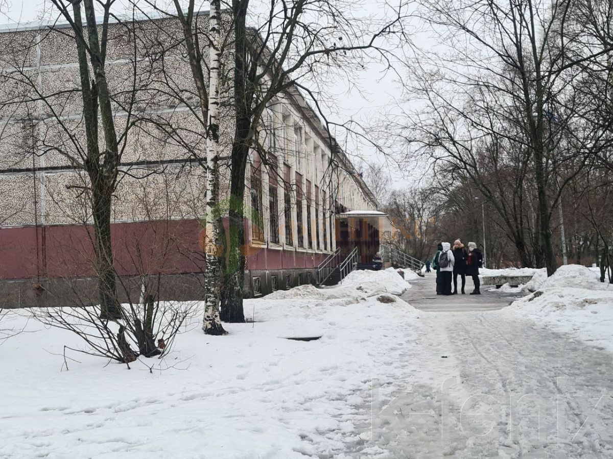 квартира 44 метров