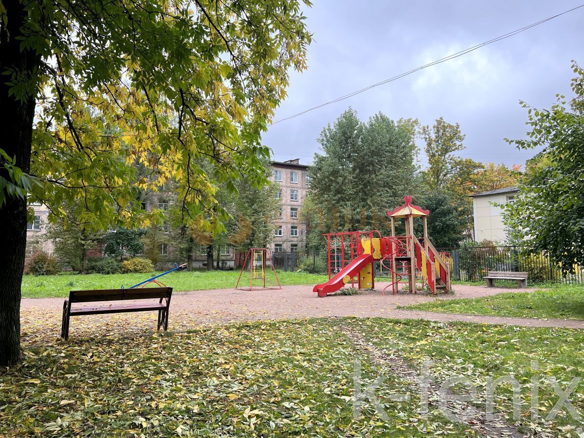 квартира 55 метров