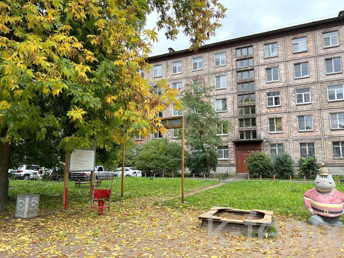 квартира 55 метров