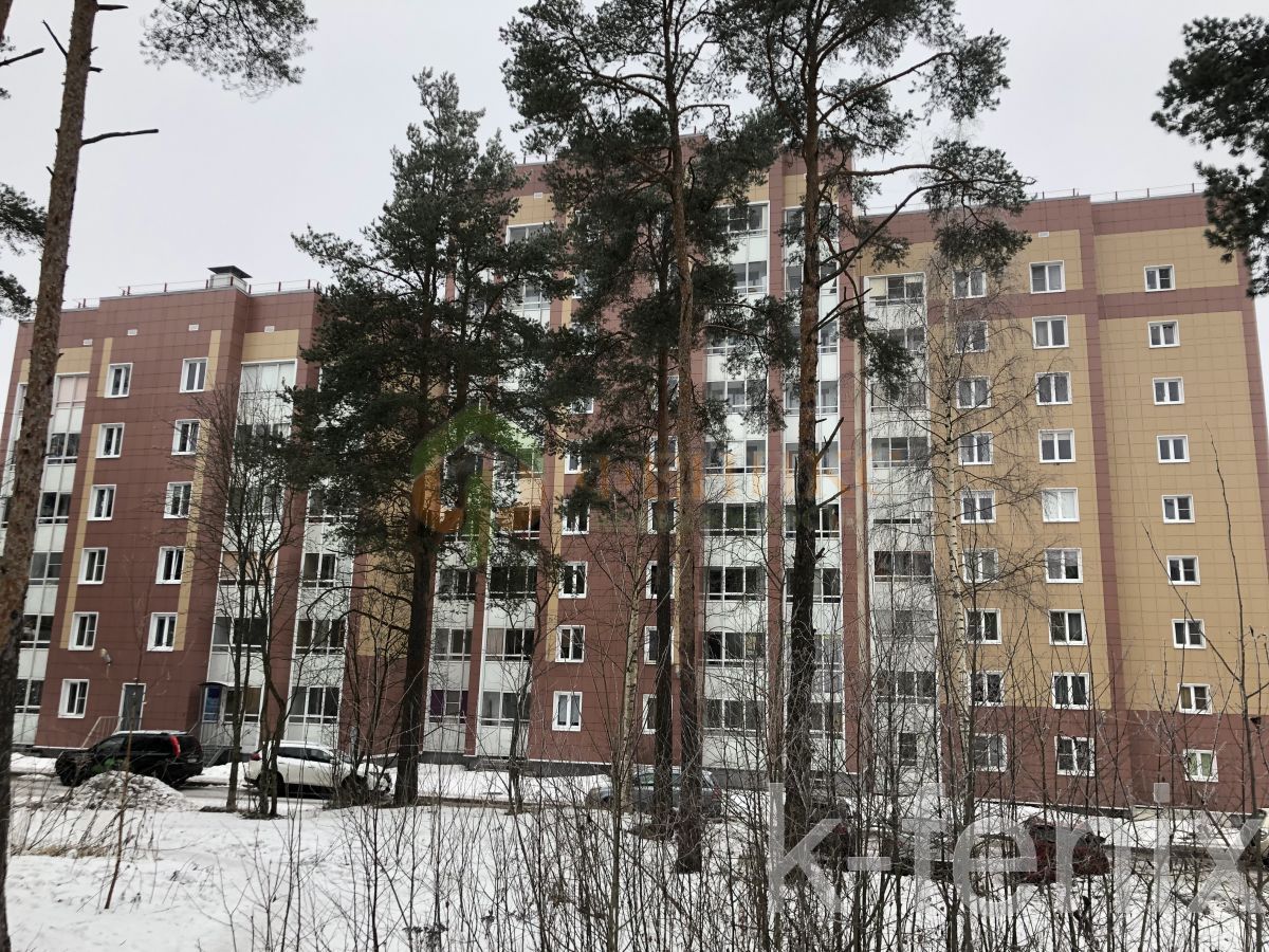 квартира 35 метров