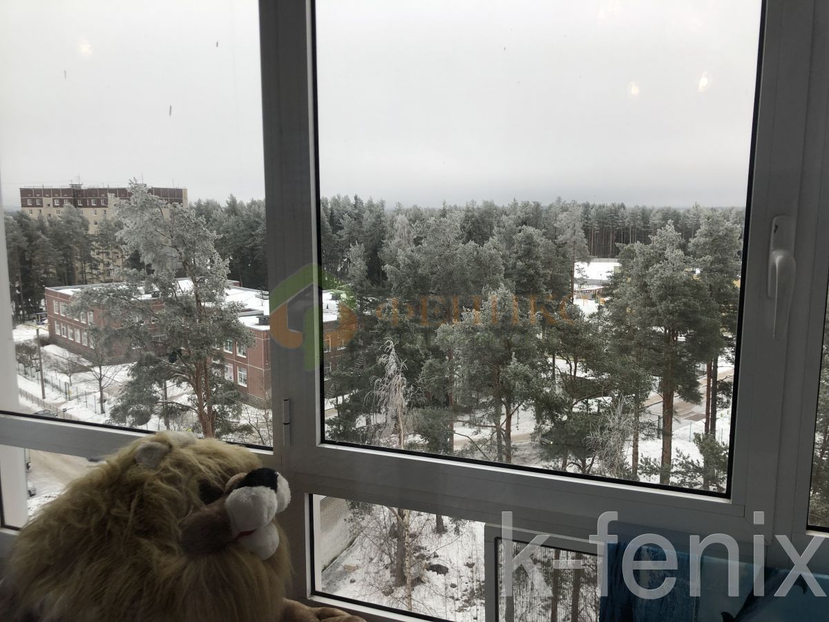квартира 35 метров