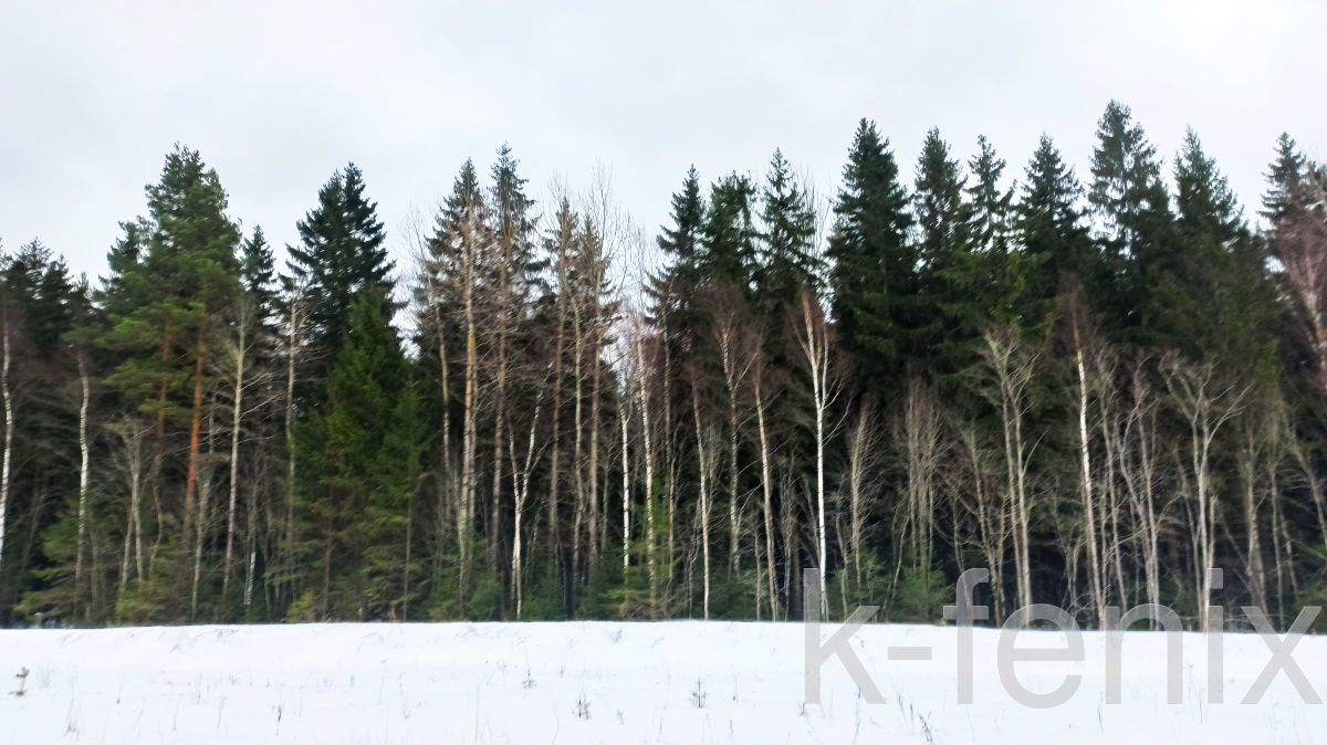 участок 8 сот