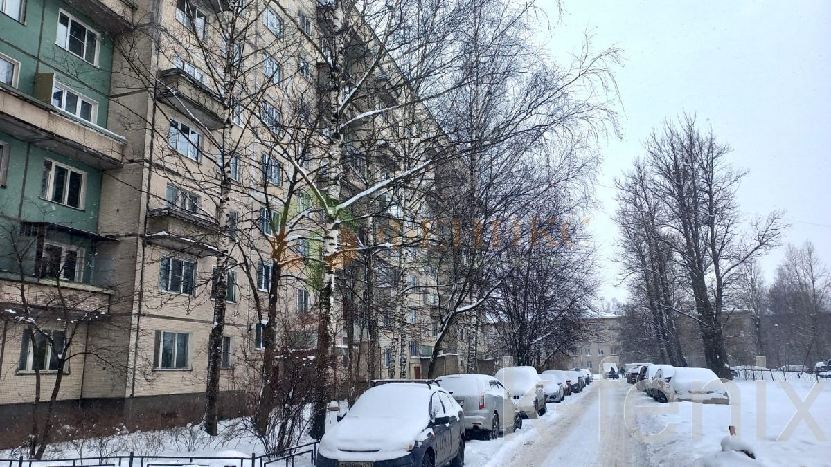 квартира 51 метров