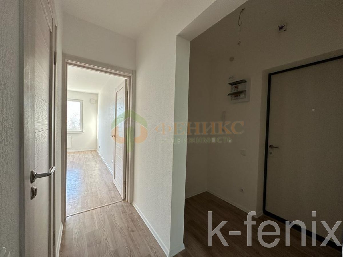 квартира 31 метров