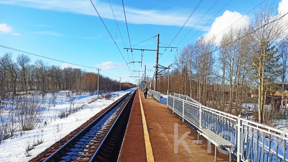 участок 10 сот
