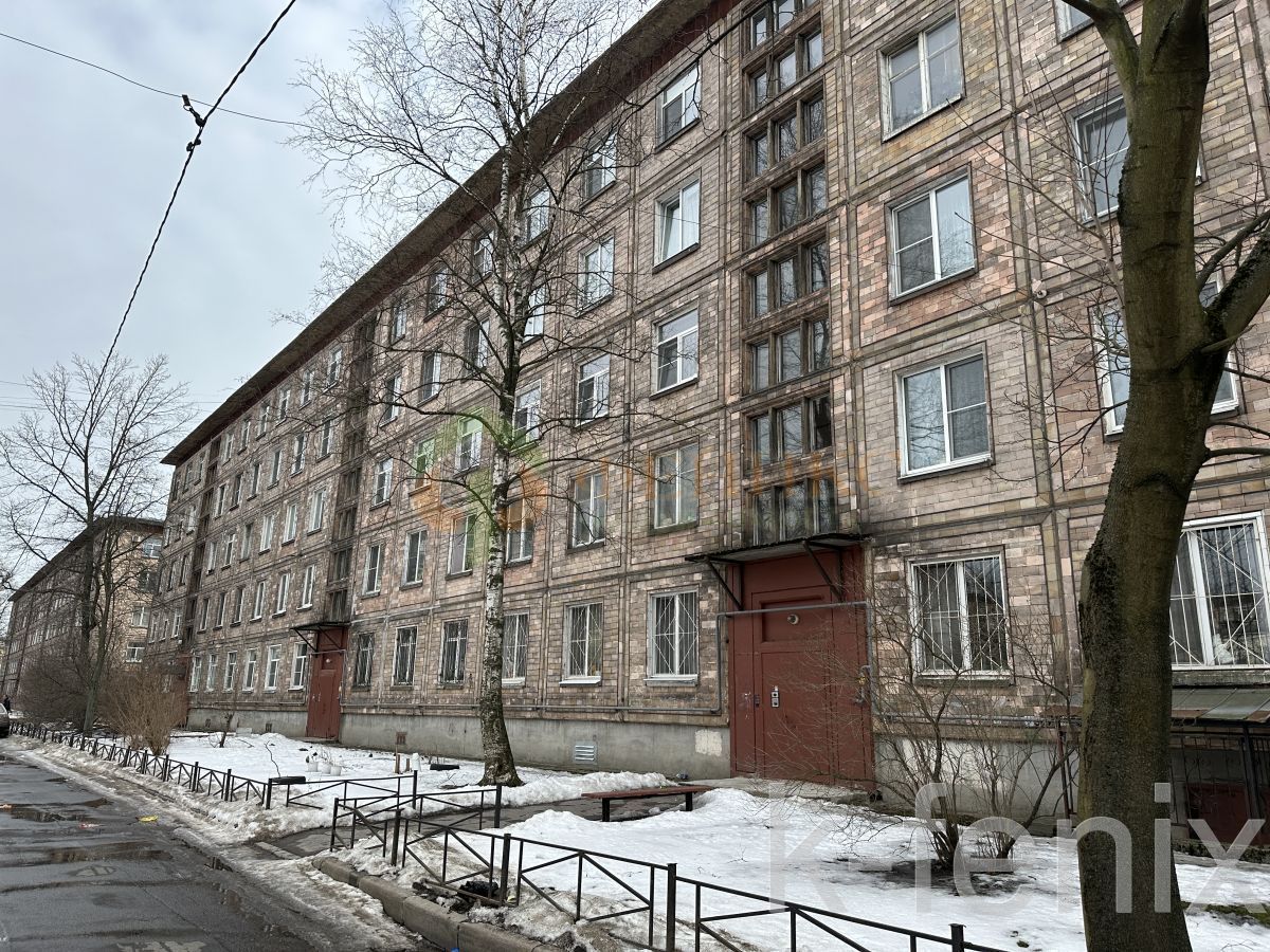 квартира 55 метров