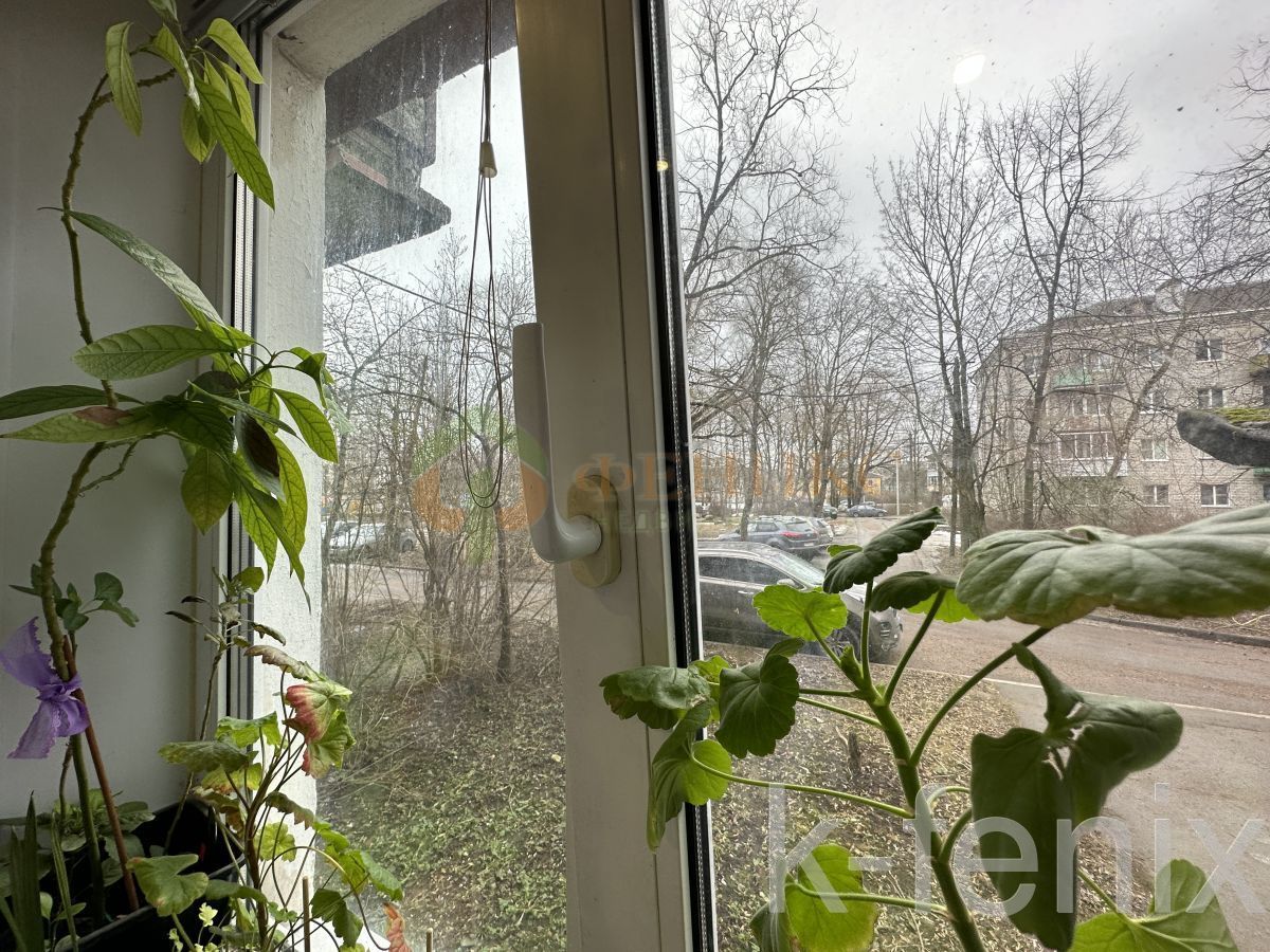 квартира 44 метров
