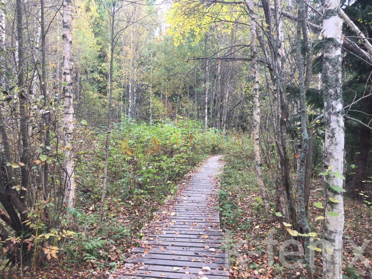 участок 6 сот