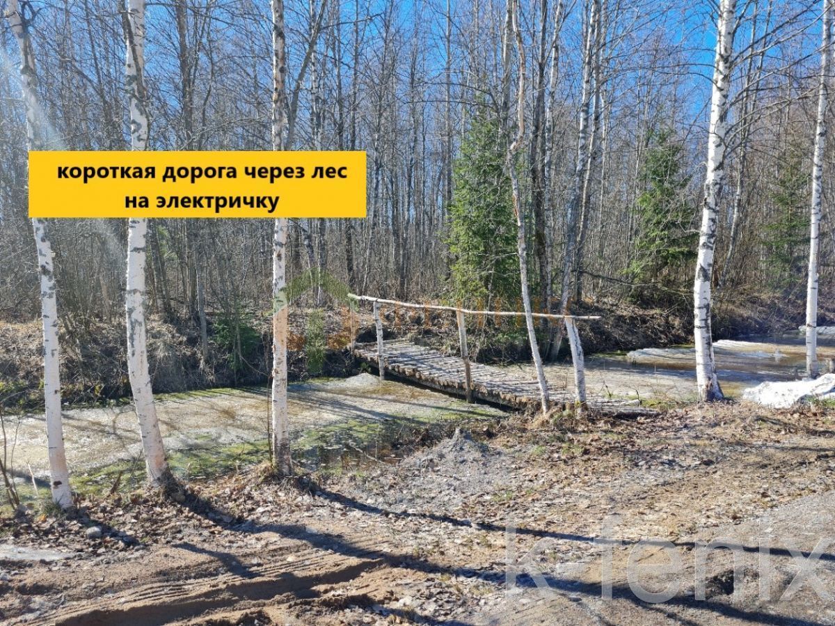 участок 6 сот