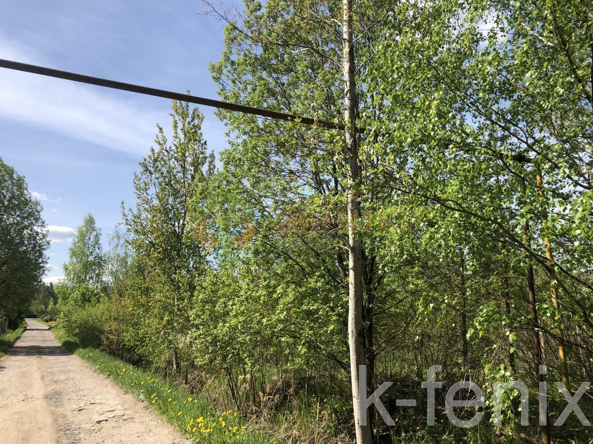 участок 12 сот
