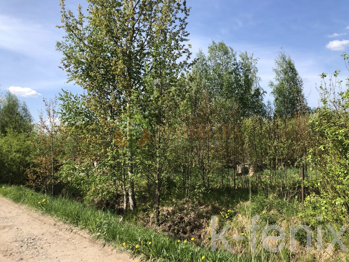 участок 12 сот
