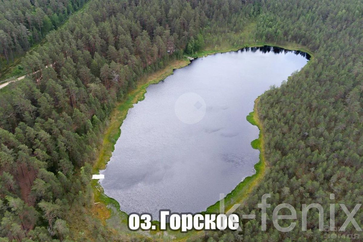 дом 300 метров, участок 70 сот