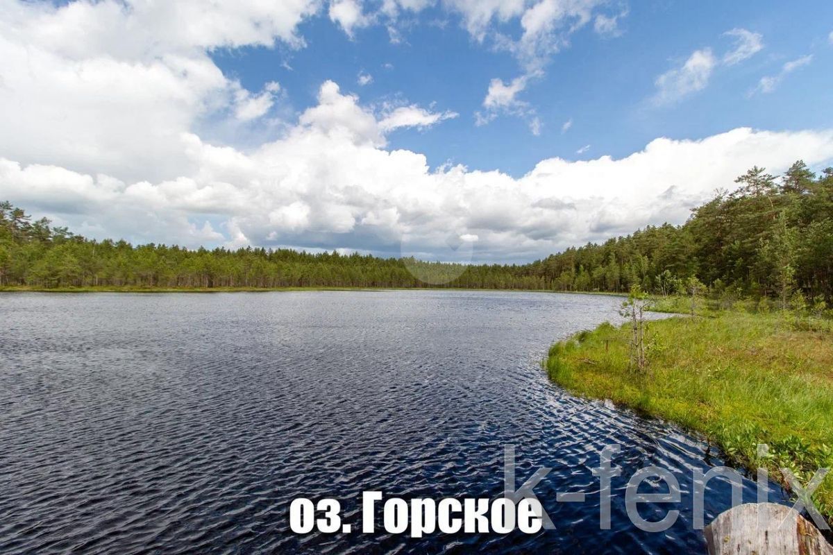 дом 300 метров, участок 70 сот