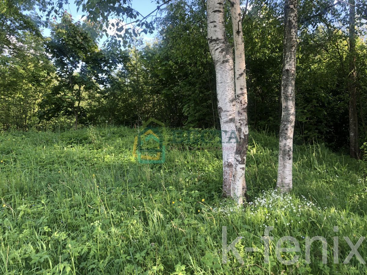 участок 12 сот