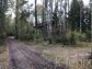 дом 278 метров, участок 20 сот
