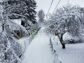 участок 11 сот