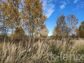 участок 16 сот