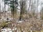 участок 6 сот