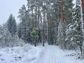 участок 7 сот