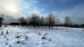 участок 11 сот