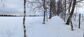 участок 1413 сот