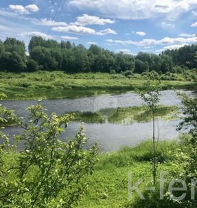 участок 17 сот