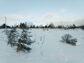 участок 10 сот
