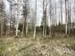 участок 9 сот