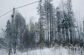 участок 10 сот