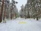 участок 7 сот