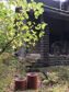 дом 278 метров, участок 20 сот