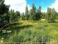 участок 12 сот