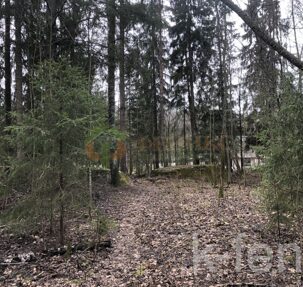 участок 12 сот