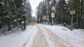 участок 6 сот