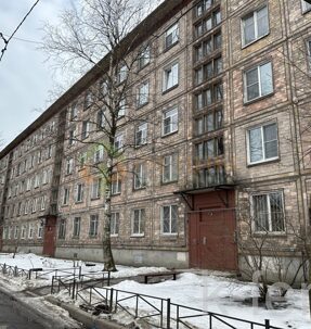квартира 55 метров