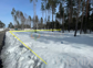 участок 10 сот