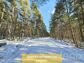 дом 231 метров, участок 17 сот