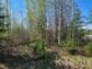 участок 6 сот