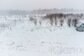 участок 12 сот