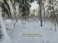 участок 10 сот