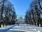 участок 12 сот
