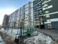 квартира 31 метров