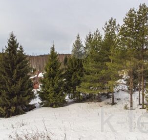 участок 20 сот