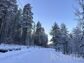 участок 22 сот