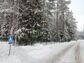 участок 12 сот