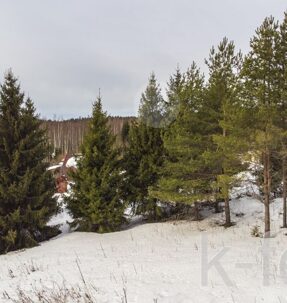 участок 20 сот