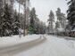 участок 12 сот