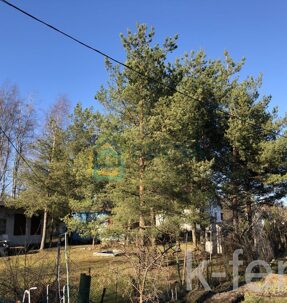 участок 6 сот